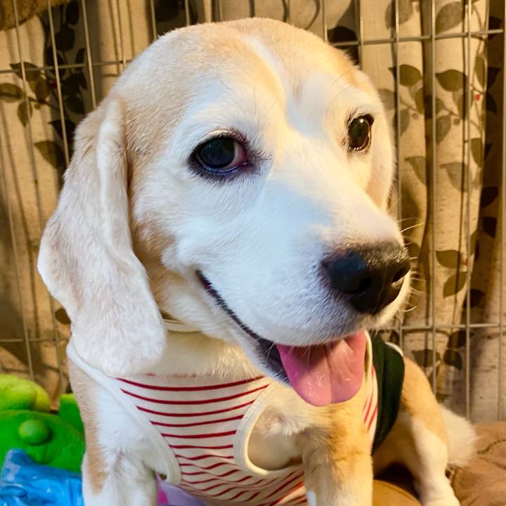 C4dd29cd 2ee8 4217 ad06 13e1aa9b0238 1631850421960