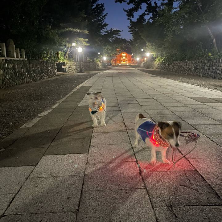 C4dd561f 16f6 4ffc a5b3 bde503e93f92 1756635483668