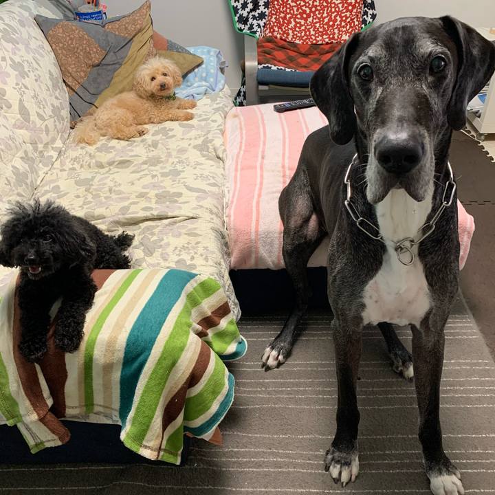 C4ddb89d 198a 4eb3 bf28 2f859b2a4aea 1596668569118