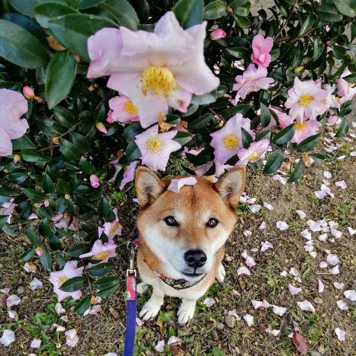 C4ddbffc 7ba9 4b74 8e11 56f7b2bbc230 1605599753151