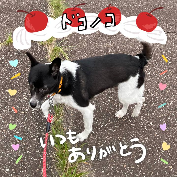 C4dde905 3375 4468 8b6a 399c59010f42 1686009254075