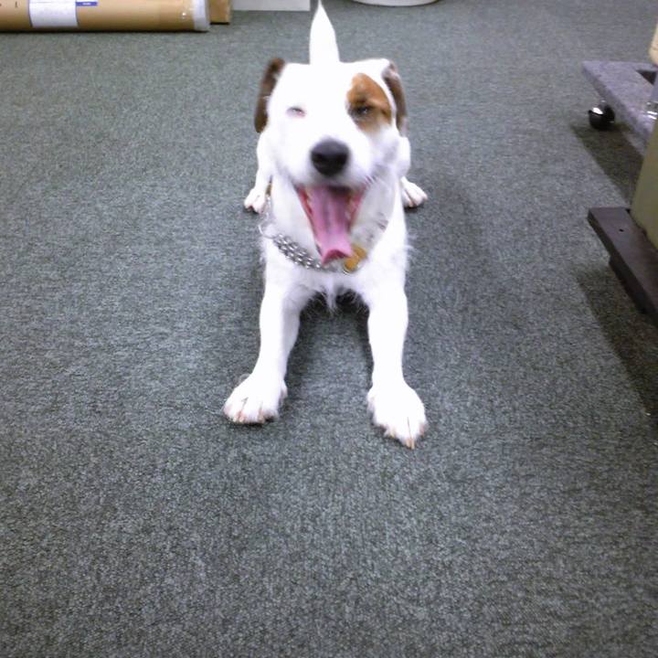 C4ddf0f7 1ad2 4877 bf66 3f41de23ffe4 1616372005246