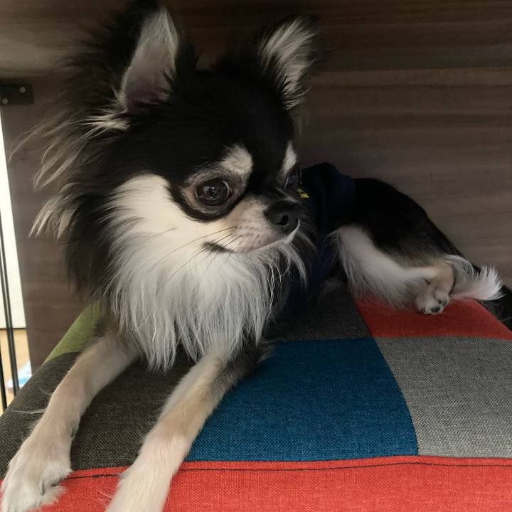 C4de00b9 df0b 48cb 8df9 52531d0bbe00 1615641618494