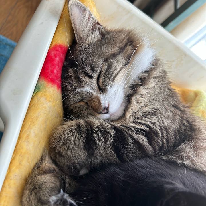 C4de02ec e657 4d27 b4a2 c0469fe9f0b0 1744174232439