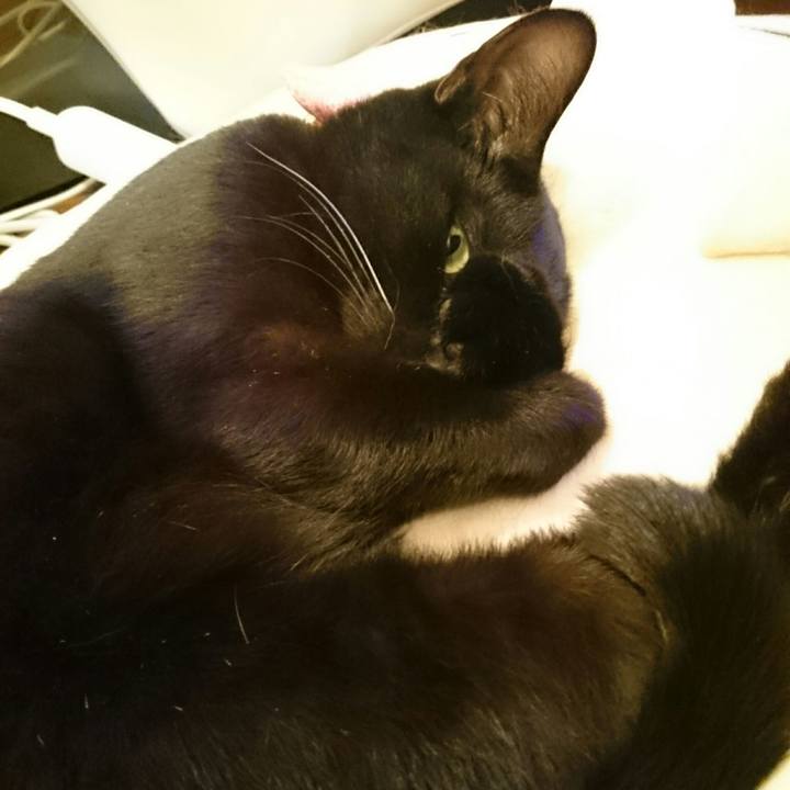 C4de2580 d17b 4827 9dec 1211d8cf7b76 1521388727552