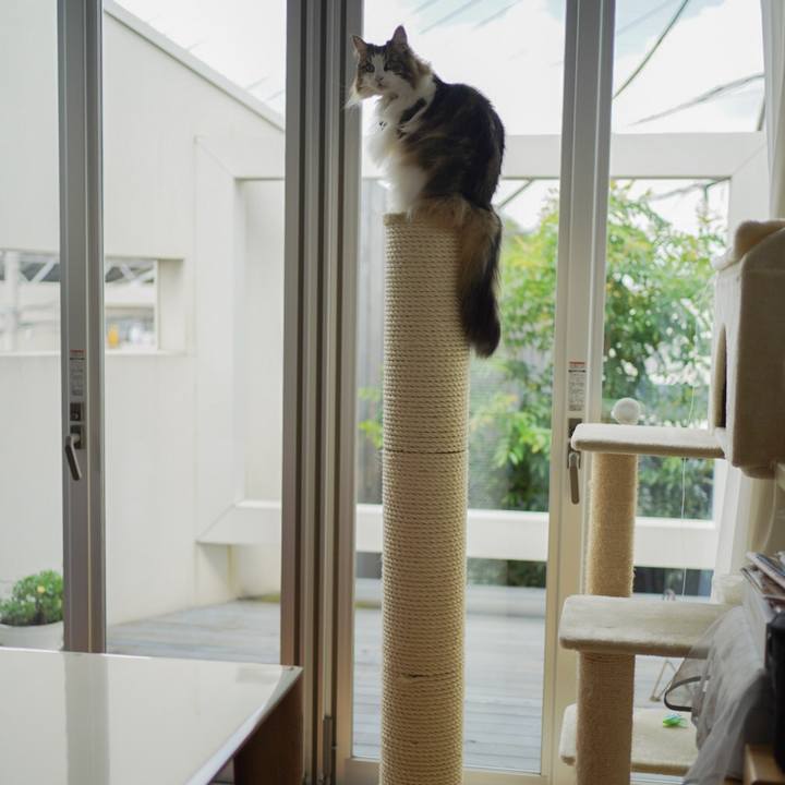 C4de395e 40dd 4ec2 9489 550ed4ca07ad 1623900977717