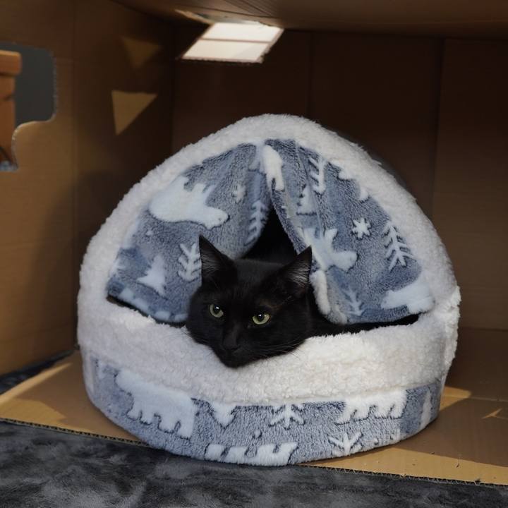 C4de3f3e 983e 4593 84b0 98210d4c3918 1608734380327