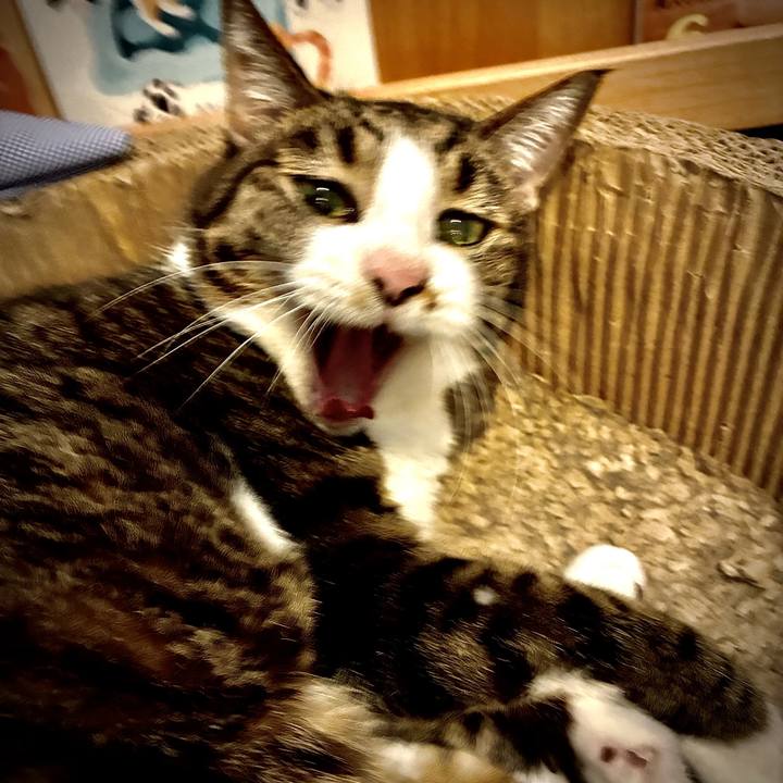 C4de4f74 fae2 4aa2 a312 43209b23e8b0 1764598078890