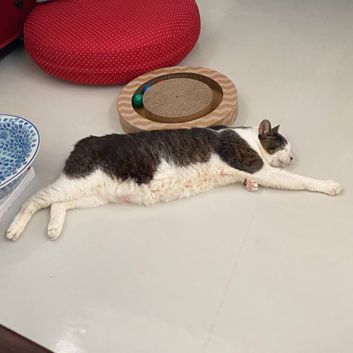 C4de9a53 fc3a 4567 a941 4551cf4b7421 1598093597206