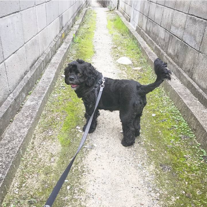 C4dee108 4c94 4436 bbed 2bc9f6156d26 1538627796556