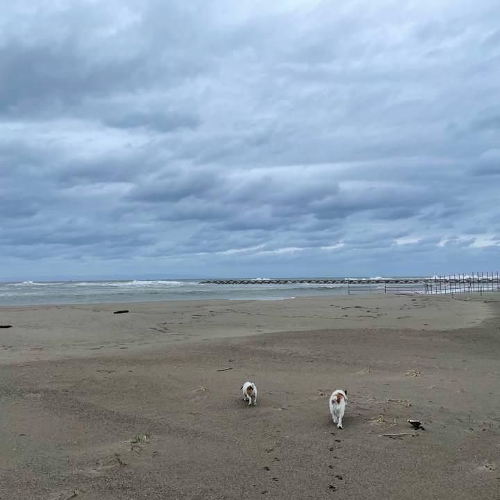 C4df1ccf 0a87 4732 86b0 653ec5ee0b78 1664927786817