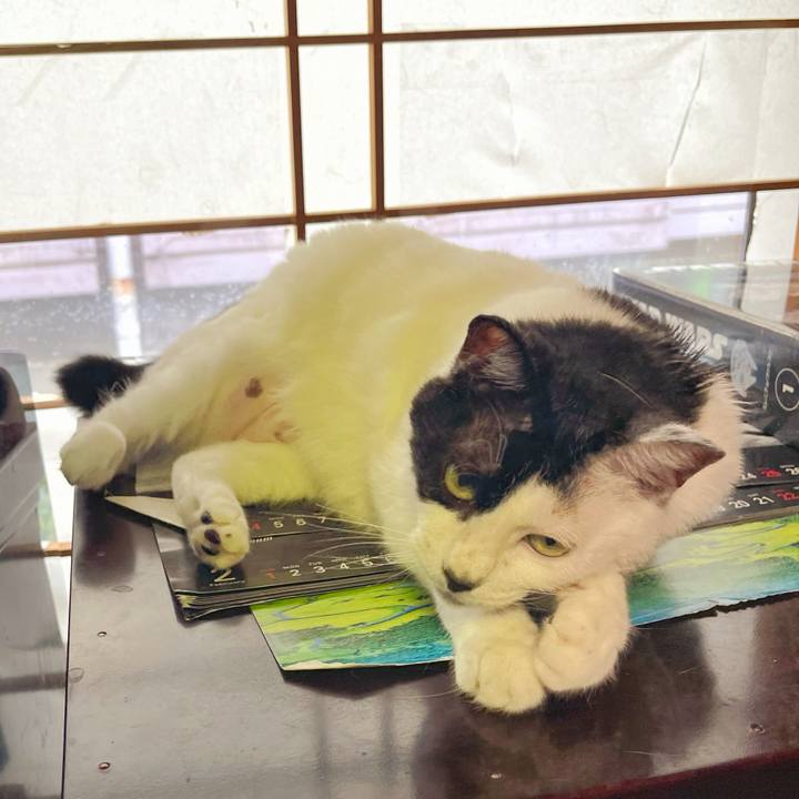 C4df26b9 a0be 4f21 88a9 d7551a74fda4 1755816569872