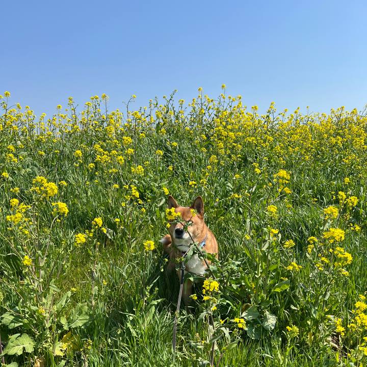 C4df6519 0b2b 4562 b1ff 9b44de309418 1742634705038