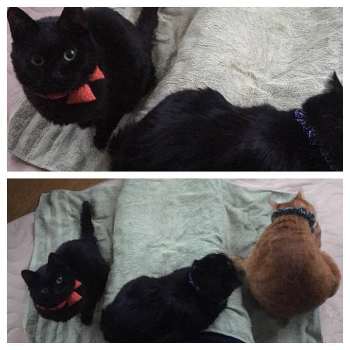 C4df8cae 0abf 4678 95e4 5ef17d3914b2 1550564098393