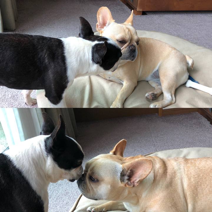 C4dfa558 e46f 4a1d 95d8 7086b1892cd9 1561528517473