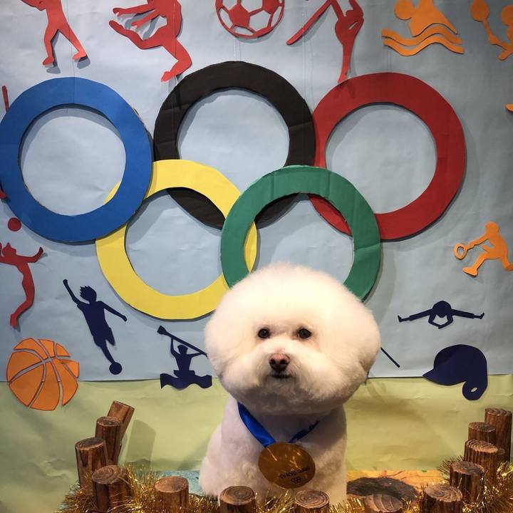 C4dfc43a 08c9 48f3 8b15 78c9549061bb 1627474463481