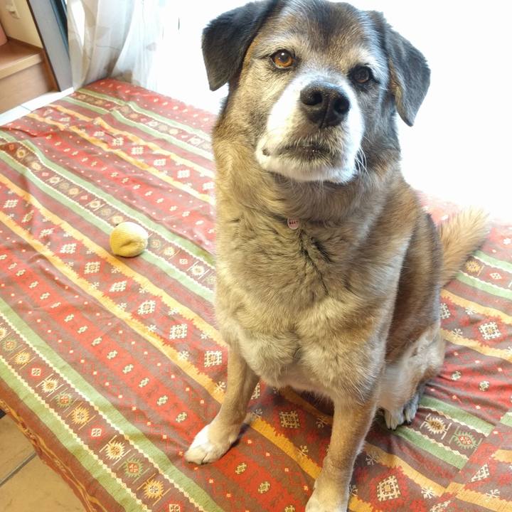 C4dfce20 0261 4e0b b3d8 3a37df3a02ee 1524456247259