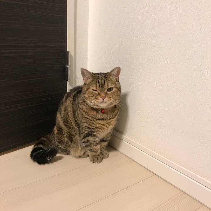 C4dffd64 abdd 445d b1d6 42231735e575 1538105296804