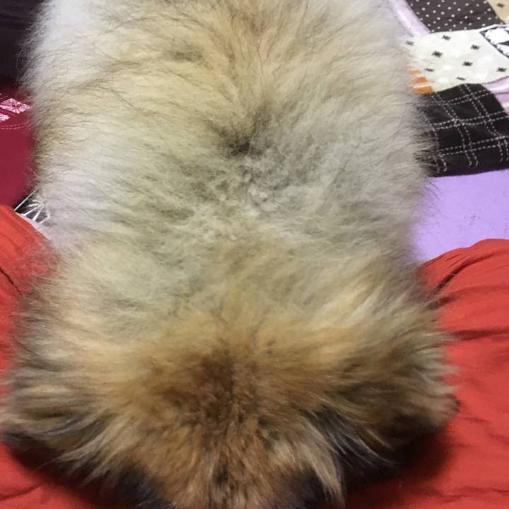 C4e022b2 6282 44ab 8dc3 73061fc6fadb 1581385282741