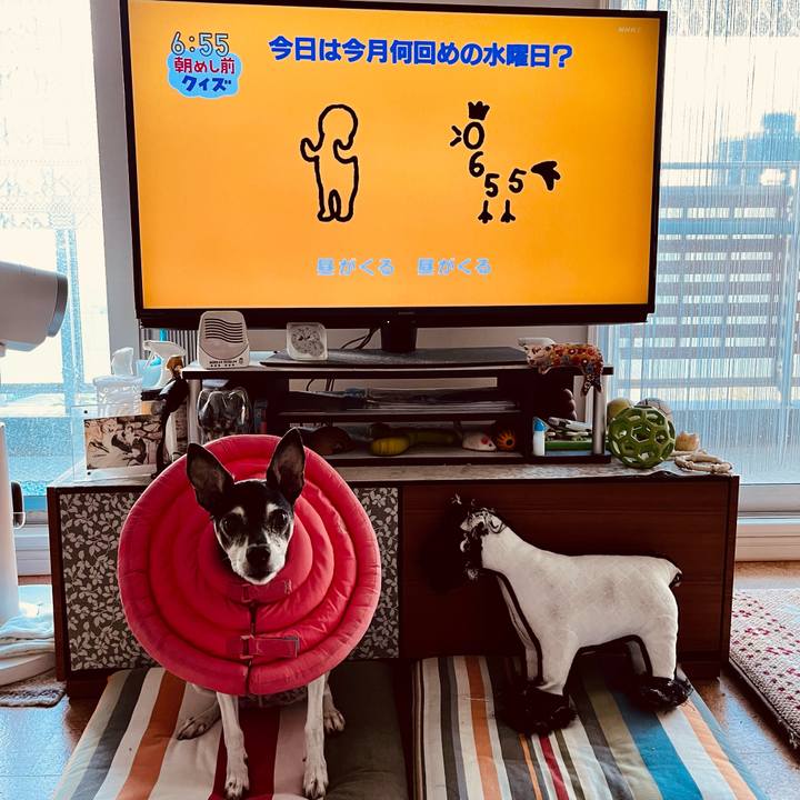 C4e0308d effc 448c 9afc c4af4dbd4f46 1634680778405