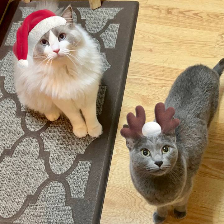 C4e03200 afea 433d ab4a 4cb273ae21a8 1640439242494