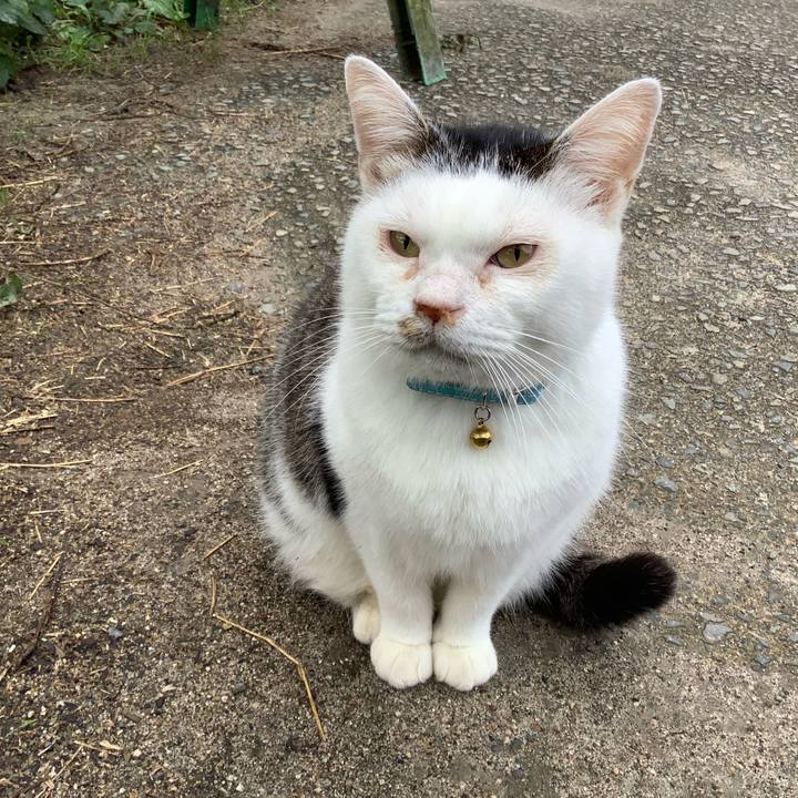 C4e03579 9a98 419a 9291 273c4530003e 1614942384935