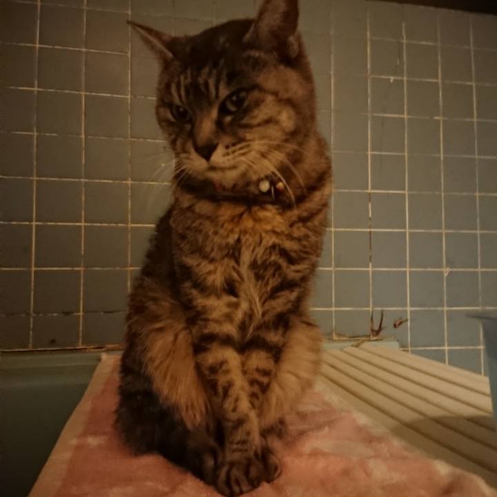 C4e06f17 a2a3 414a 9ab8 cf97b36d7576 1578995112847