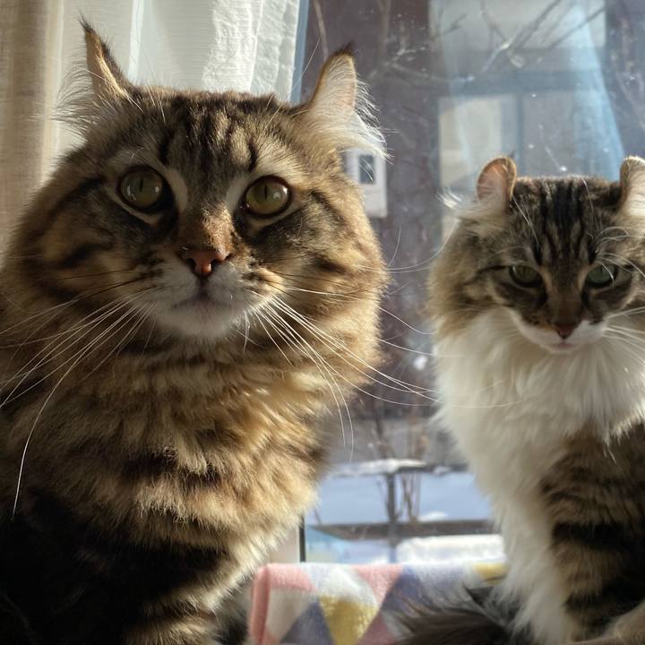 C4e088ee 94a6 4f9d a932 9235028f3efd 1577537238768