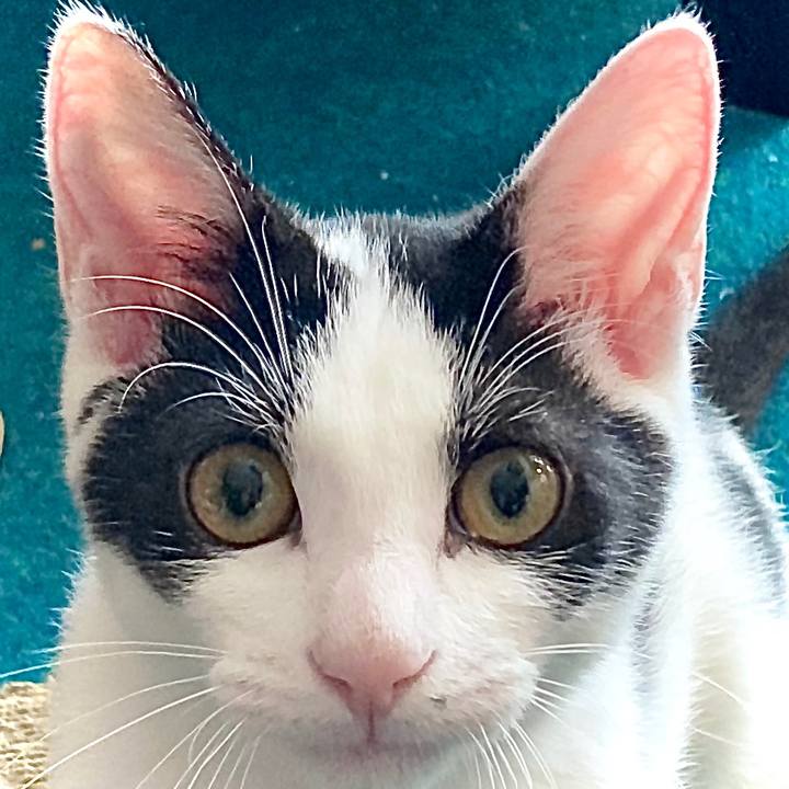 C4e095af 6ad7 423a b039 7a9c30f65b23 1632454683210