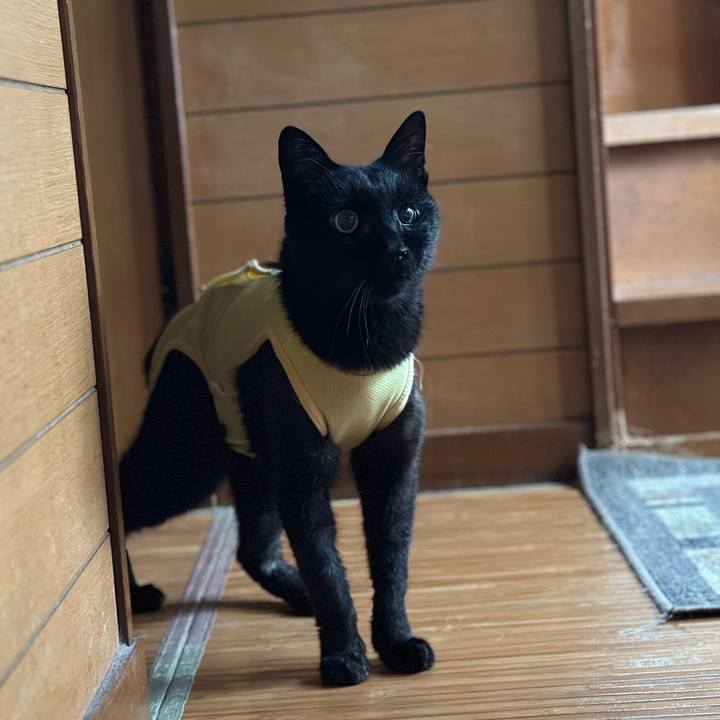 C4e0a534 0a42 4876 a4e2 bdbd9b08c17a 1716861594359