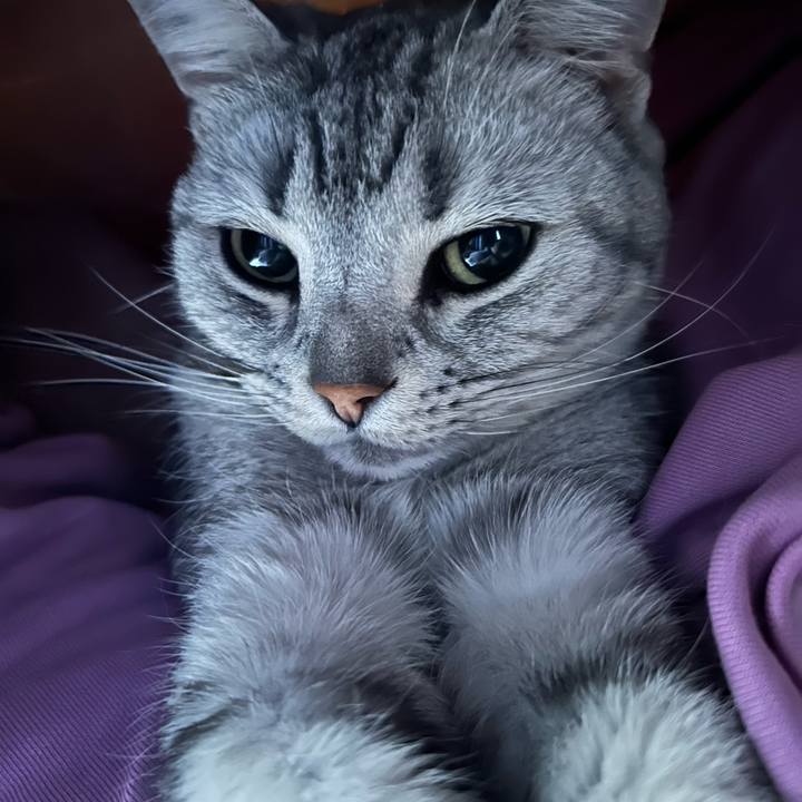 C4e0ba89 cb8f 45e5 81e5 c4f26fab8b34 1680214902694