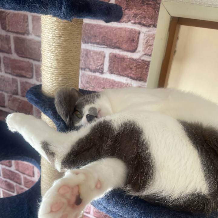 C4e0d56c 1c1d 4f41 b63a 63109564650f 1647047694415