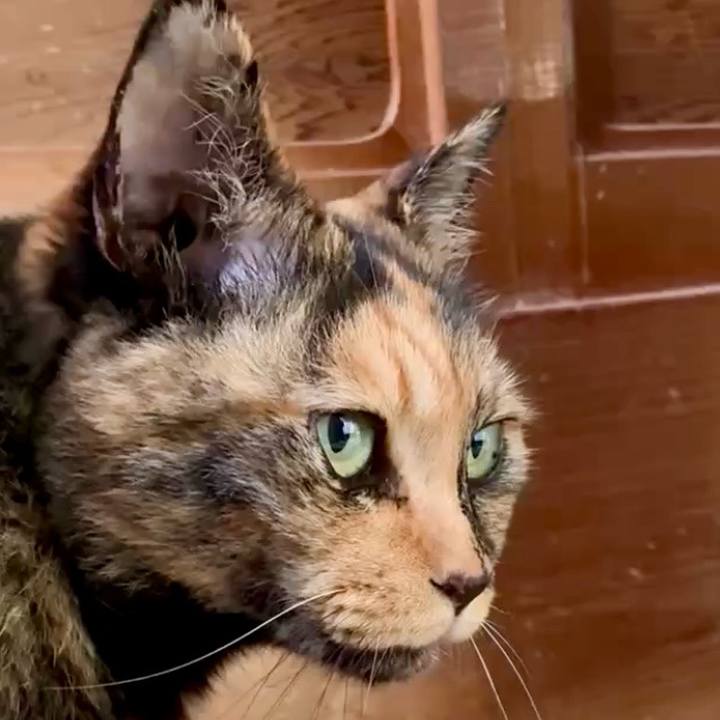 C4e0e9b1 e4ea 4abb aed5 3bb485ed2546 1750386197688