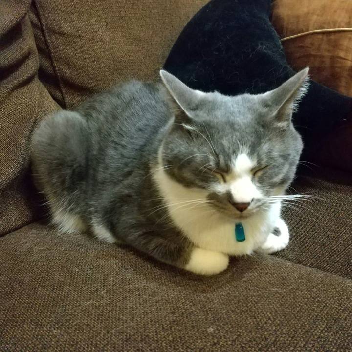 C4e11dfb 0543 4dc3 a307 939ffa3921cf 1640959170226