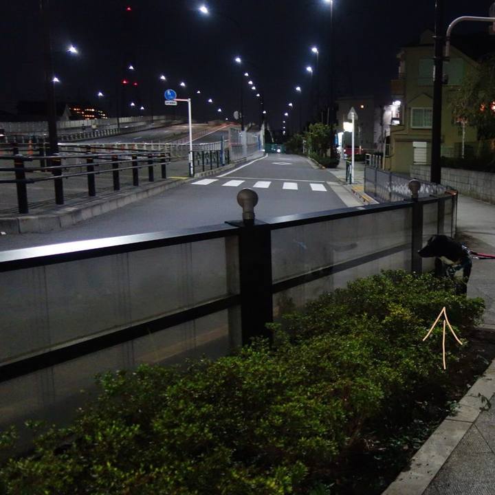 C4e1200b 886c 4f3d bcc2 b51ca90f1ecd 1633344288594