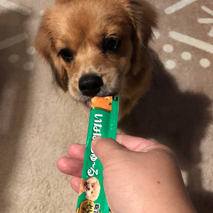 C4e12348 cd45 43f9 904e 53185f6c41af 1507757334311