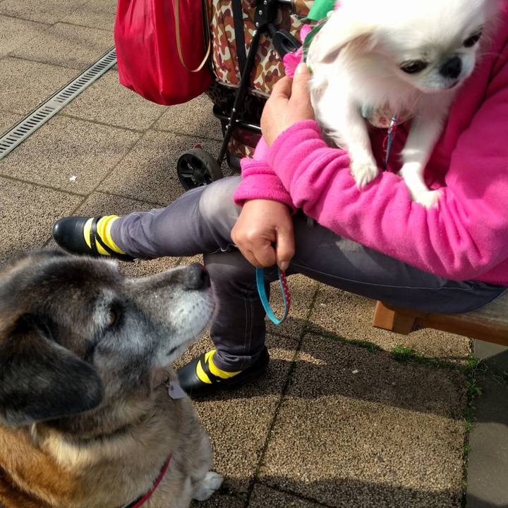 C4e126cd 7a34 4b55 ba5c c96027a7c567 1522025760982