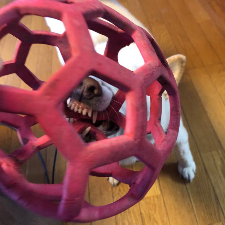 C4e1287a 2786 4571 8cc0 4b467528d803 1732923201698