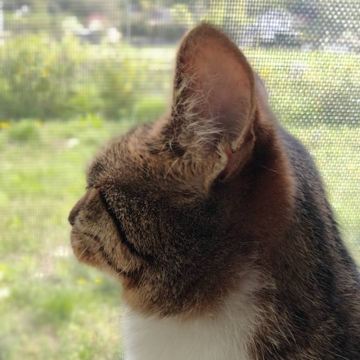 C4e155e3 bd57 4376 bc35 c8ad4ba292cc 1653395897857