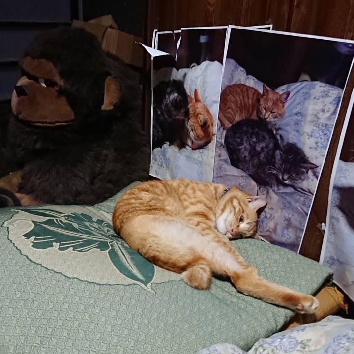 C4e16f60 c2be 4a41 b30b 33cc380e2c18 1657023473328