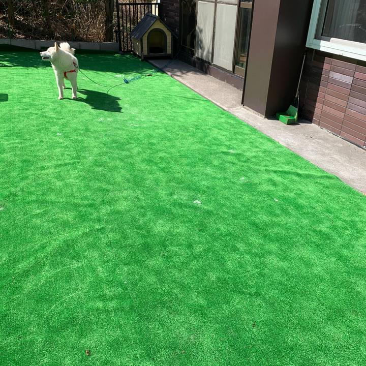 C4e1952d ea2f 479c aadc 4acc213c1f94 1585891281045