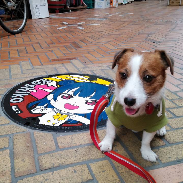 C4e2081f 9995 49d0 9cbb 67815d2b6039 1541759497250