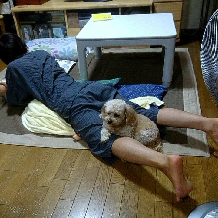 C4e20a0b 052e 4ccc b66b eaa3ccdbe844 1533389647924