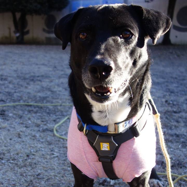 C4e20b75 481a 41e7 871e 803bbd453e29 1645752189067