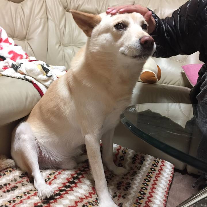 C4e2123b 5e2b 4653 8df0 a15a919de5f6 1513253507571