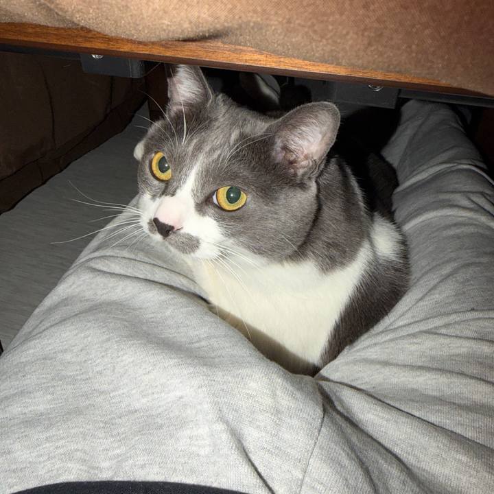 C4e2275a d7aa 4c0e bec1 a5059f7db495 1764840796497