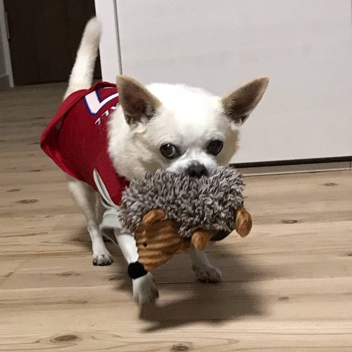 C4e2388c be4d 4ea6 a8d9 63f198025e8c 1595414846300