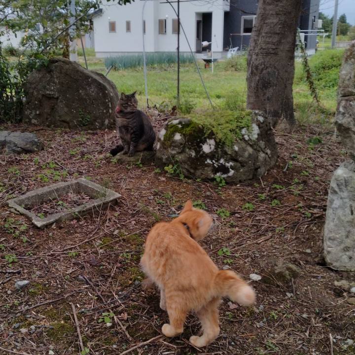 C4e2657a d912 4ee2 af92 80d3f0fcb84b 1663663693221