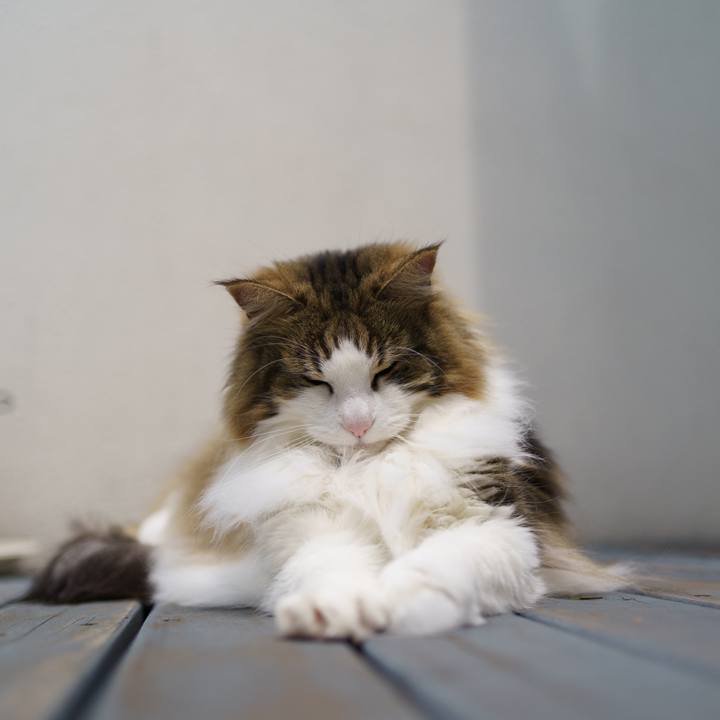 C4e27156 20d1 480e b4eb 8ba55f51fef5 1650521723345