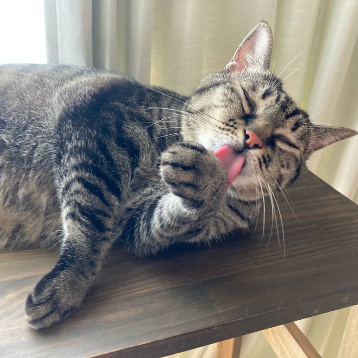 C4e280d5 2110 4a9d b2b9 509299f7d6b9 1692520916812